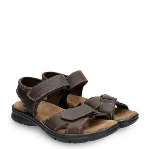 Sanders Basics^Panama Jack Shop
