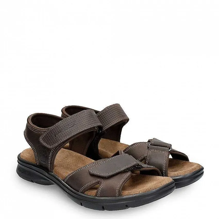sanders_basics_6-2.webp Sanders Basics^Panama Jack Shop
