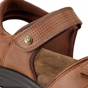 Sanders Basics^Panama Jack Outlet