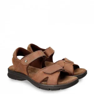 Sanders Basics^Panama Jack Outlet
