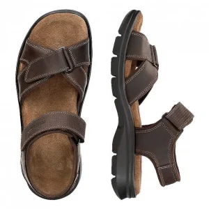 Sanders Basics^Panama Jack Flash Sale