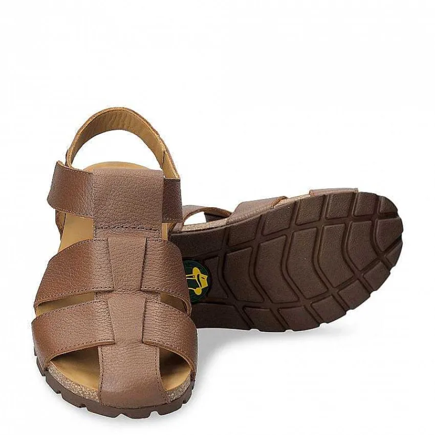stanley_1-3.webp Stanley^Panama Jack Store