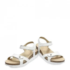 Sulia Basics^Panama Jack New
