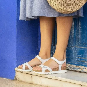 Sulia Basics^Panama Jack Online